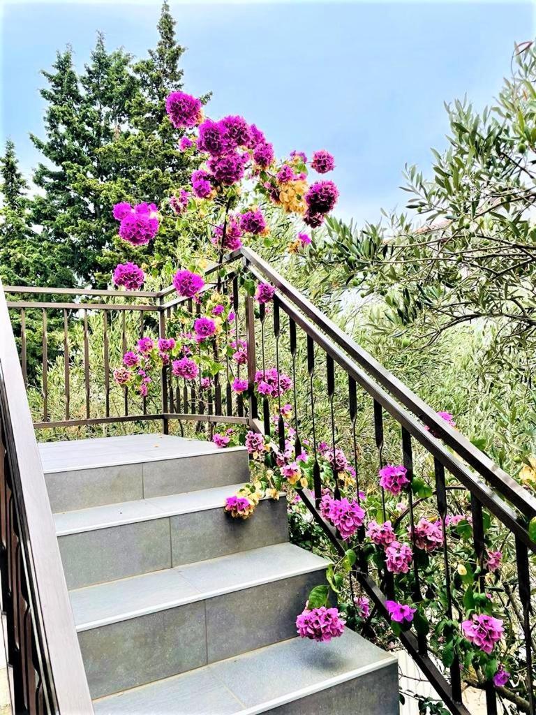 Apartments Ivan Vodice Luaran gambar